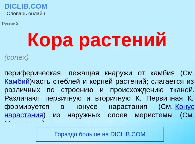 Что такое Кора растений - определение