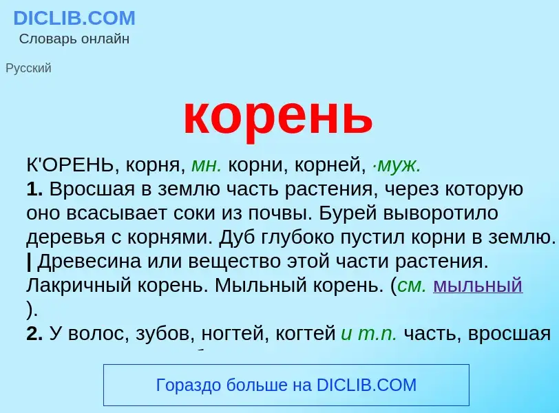 What is корень - definition