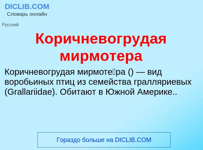 Wat is Коричневогрудая мирмотера - definition