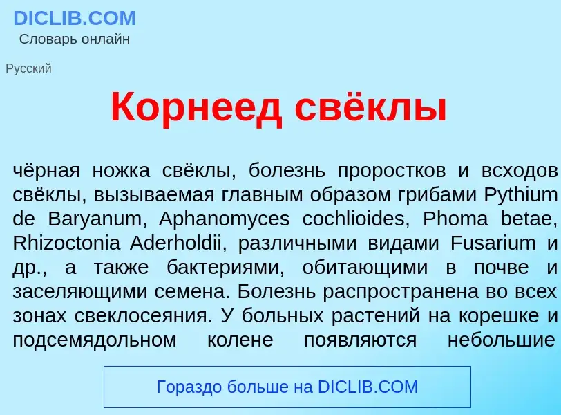 What is Корне<font color="red">е</font>д свёклы - definition