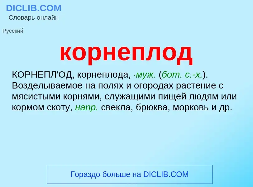 O que é корнеплод - definição, significado, conceito
