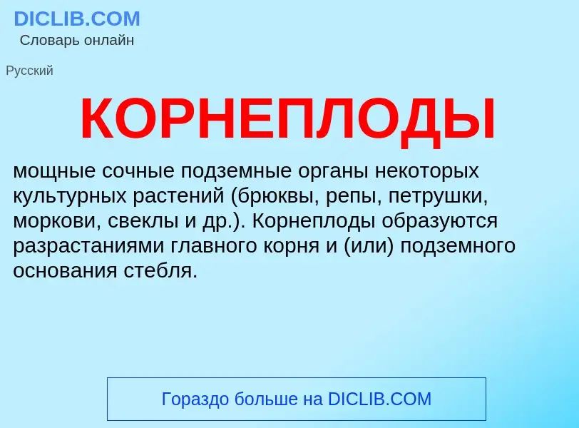 ¿Qué es КОРНЕПЛОДЫ? - significado y definición