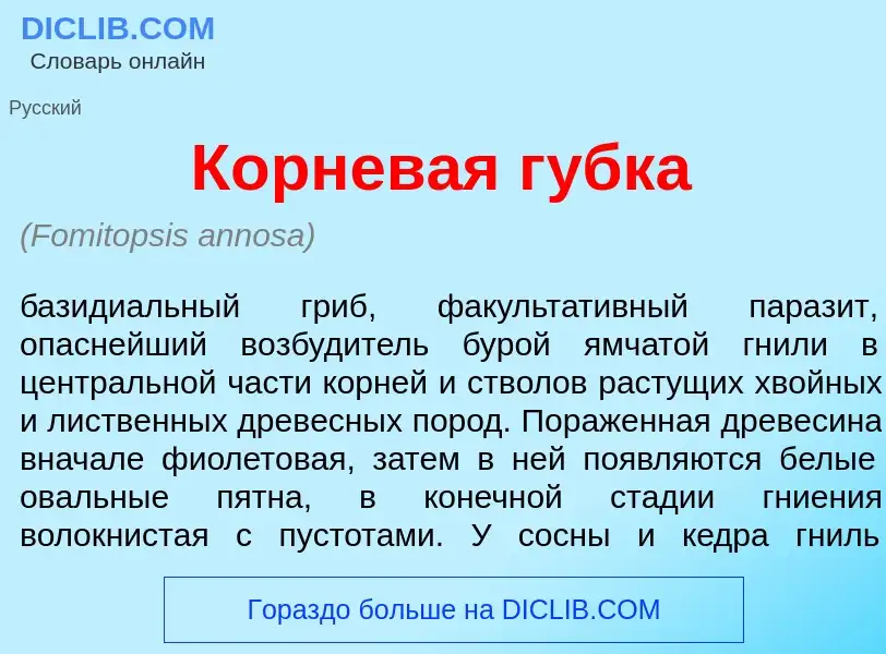 What is Корнев<font color="red">а</font>я г<font color="red">у</font>бка - meaning and definition