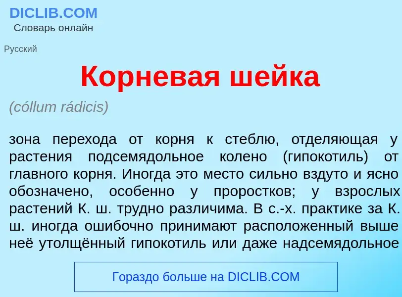 Qu'est-ce que Корнев<font color="red">а</font>я ш<font color="red">е</font>йка - définition