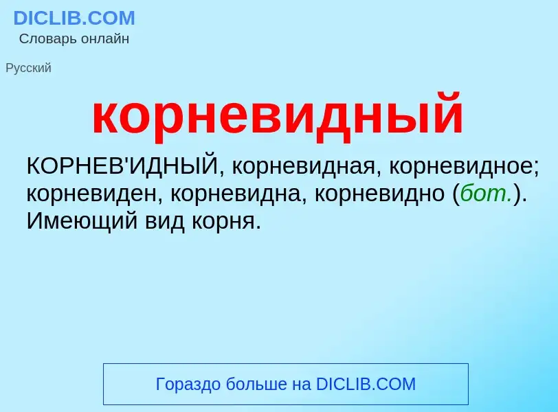 ¿Qué es корневидный? - significado y definición