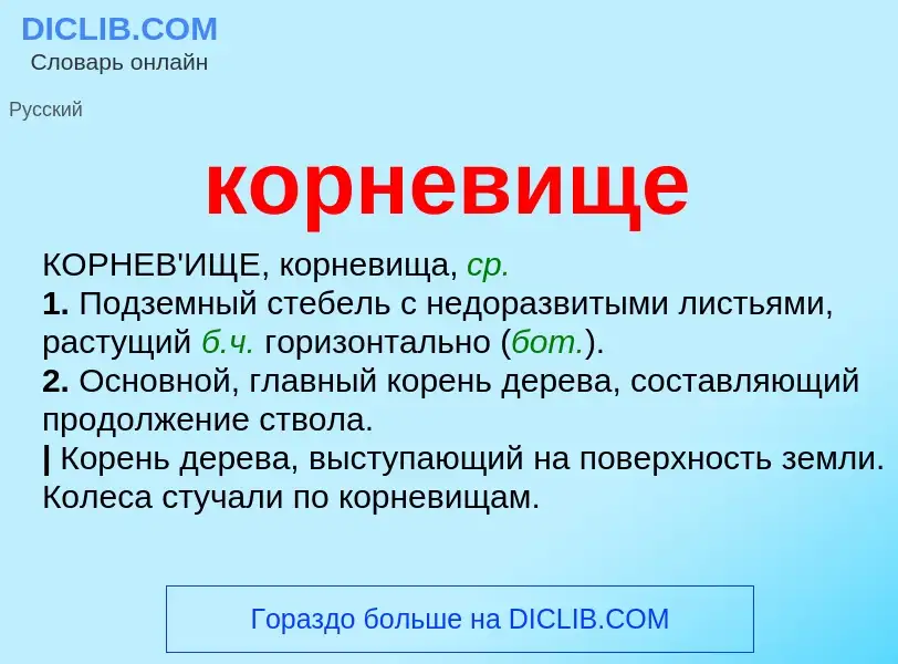 Was ist корневище - Definition