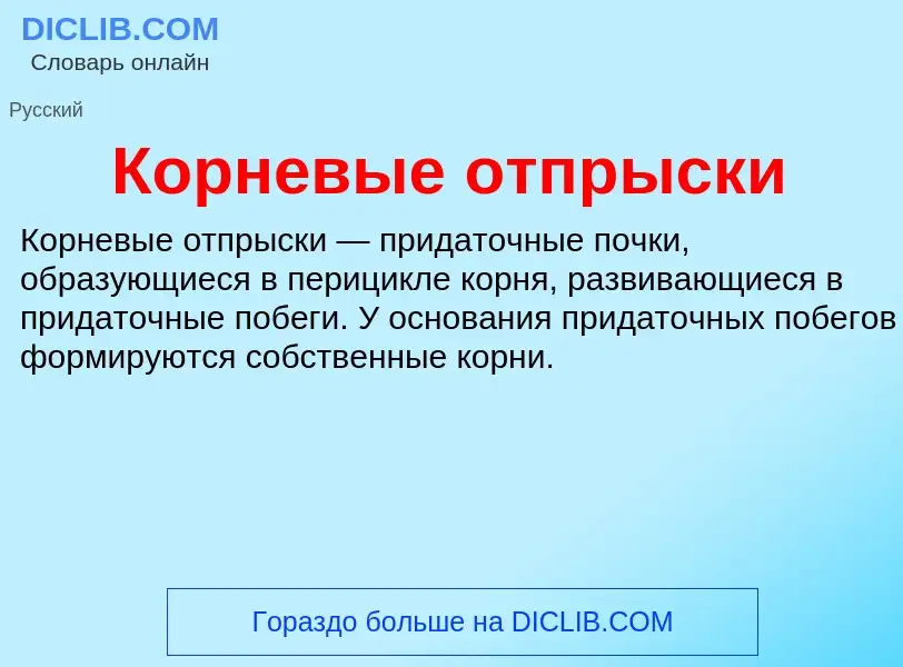 O que é Корневые отпрыски - definição, significado, conceito