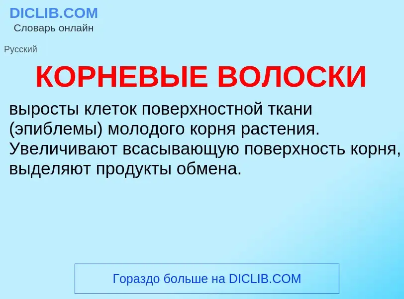 O que é КОРНЕВЫЕ ВОЛОСКИ - definição, significado, conceito