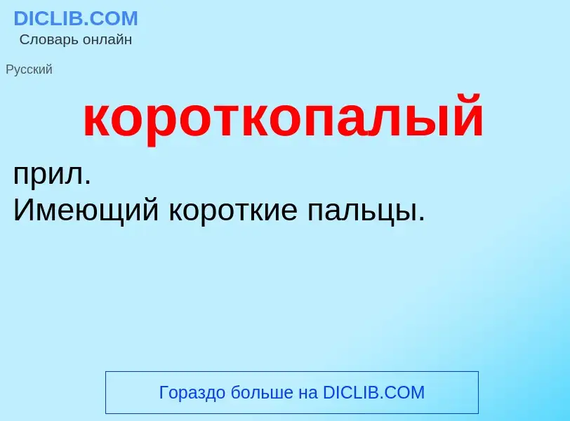 ¿Qué es короткопалый? - significado y definición