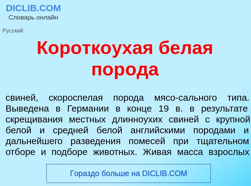 Что такое Коротко<font color="red">у</font>хая белая пор<font color="red">о</font>да - определение