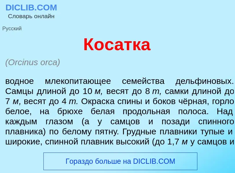 What is Кос<font color="red">а</font>тка - meaning and definition