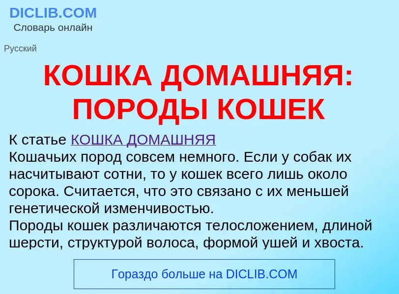 Что такое КОШКА ДОМАШНЯЯ: ПОРОДЫ КОШЕК - определение