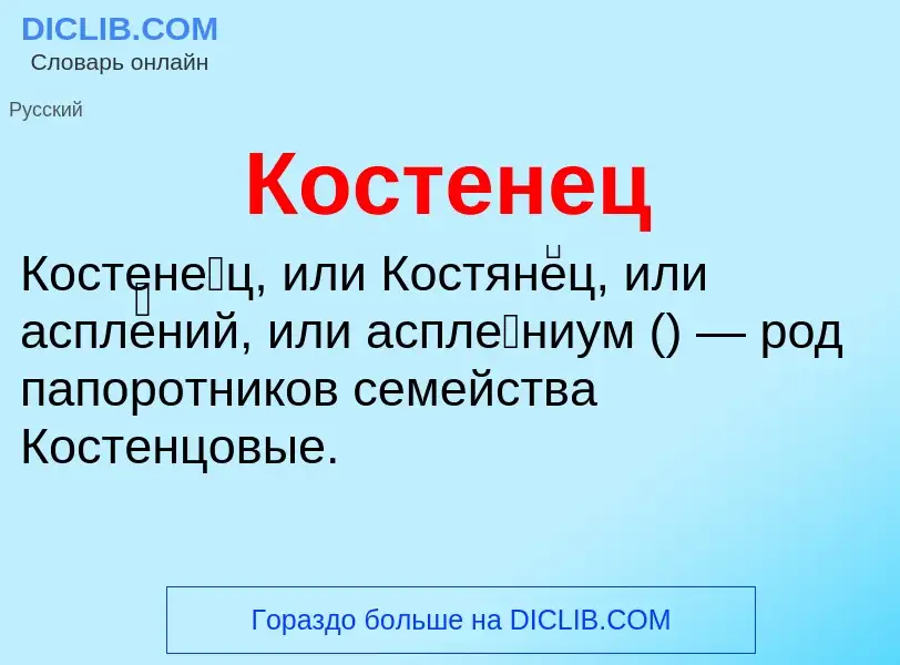 O que é Костенец - definição, significado, conceito