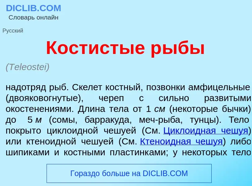 Что такое Кост<font color="red">и</font>стые р<font color="red">ы</font>бы - определение