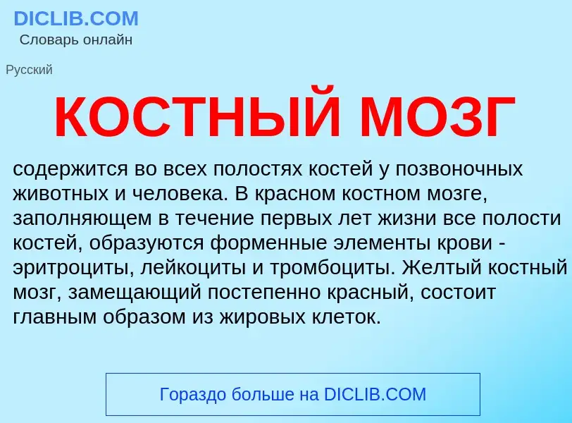 ¿Qué es КОСТНЫЙ МОЗГ? - significado y definición