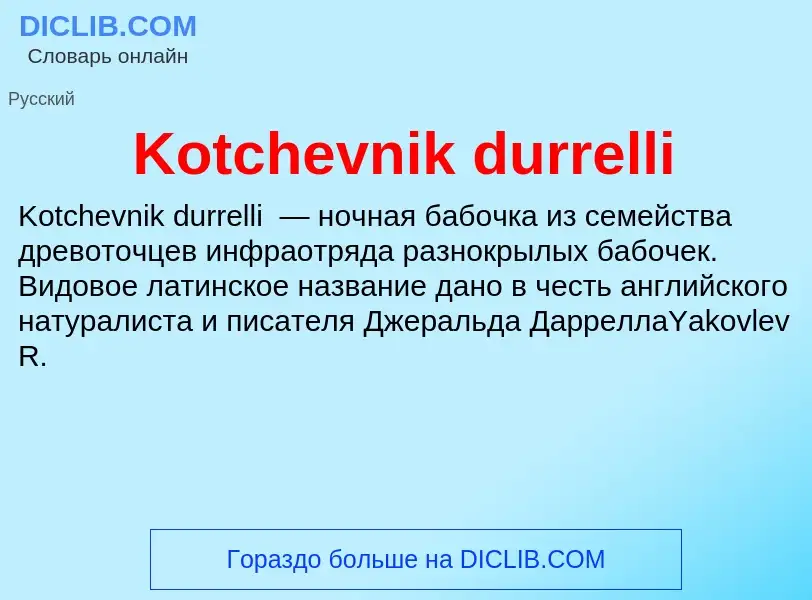 Was ist Kotchevnik durrelli - Definition