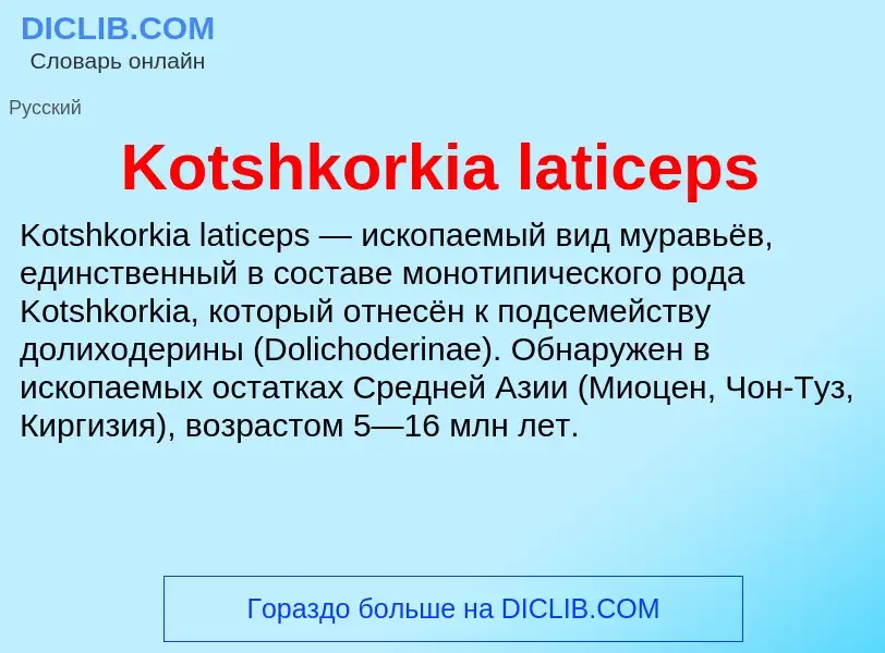 Что такое Kotshkorkia laticeps - определение