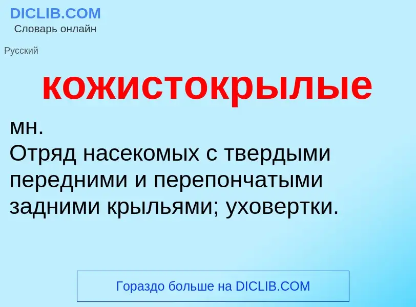 Wat is кожистокрылые - definition