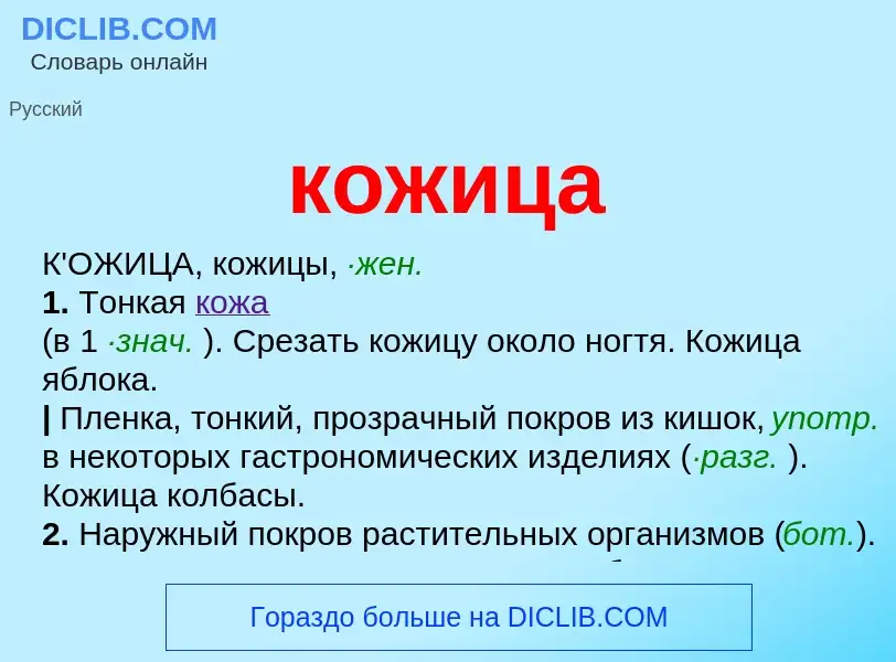 Wat is кожица - definition