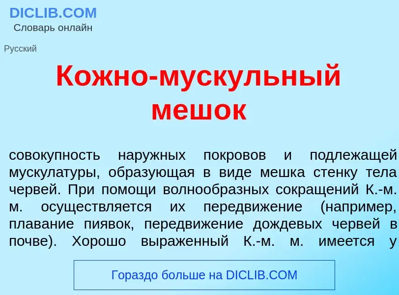 ¿Qué es К<font color="red">о</font>жно-м<font color="red">у</font>скульный меш<font color="red">о</f