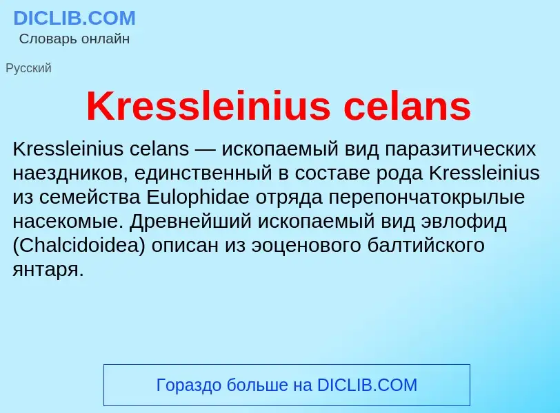 ¿Qué es Kressleinius celans? - significado y definición