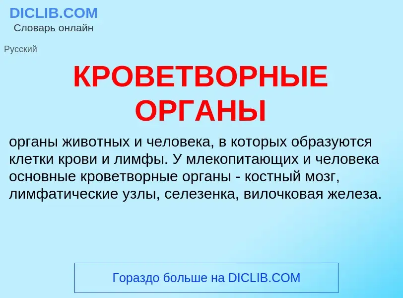 Che cos'è КРОВЕТВОРНЫЕ ОРГАНЫ - definizione