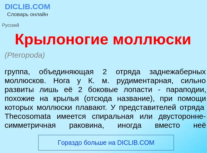 O que é Крылон<font color="red">о</font>гие молл<font color="red">ю</font>ски - definição, significa