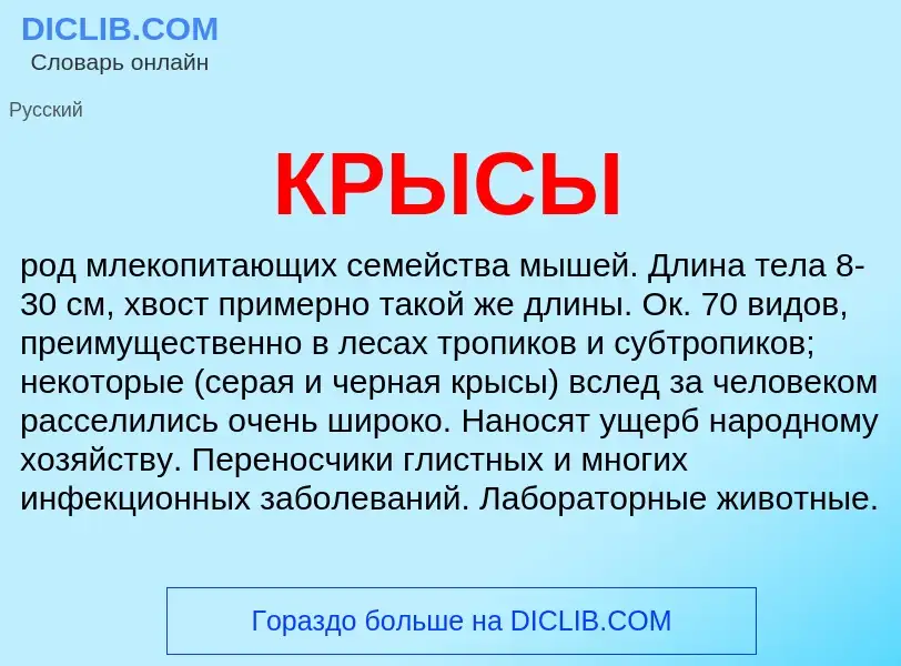 Что такое КРЫСЫ - определение