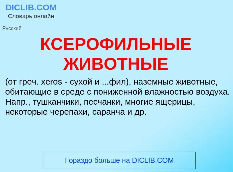 Wat is КСЕРОФИЛЬНЫЕ ЖИВОТНЫЕ - definition