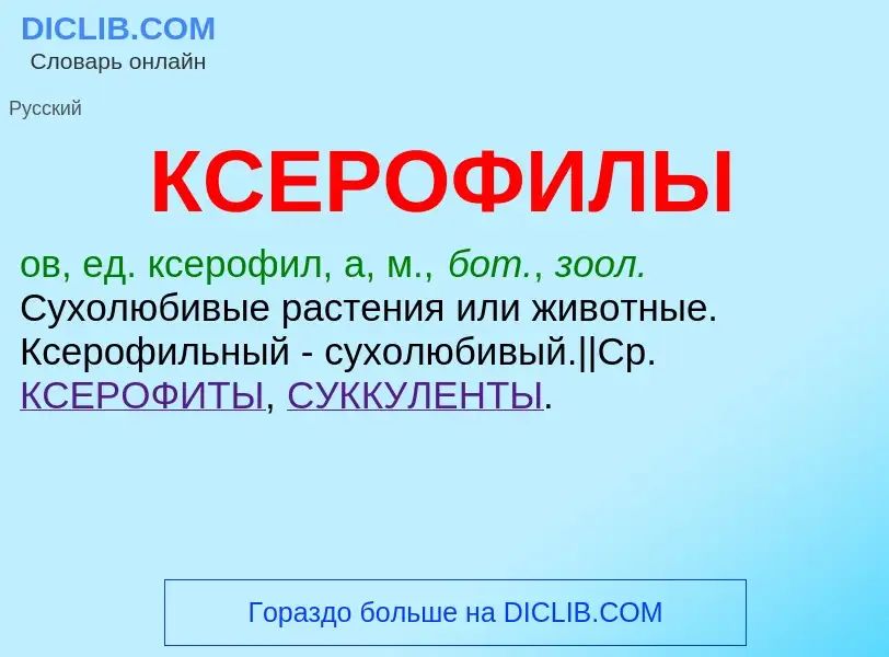 O que é КСЕРОФИЛЫ - definição, significado, conceito