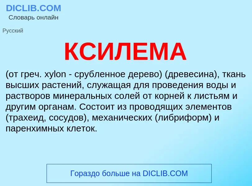 What is КСИЛЕМА - meaning and definition