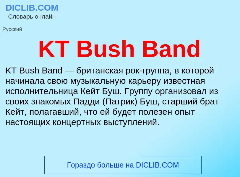 Τι είναι KT Bush Band - ορισμός