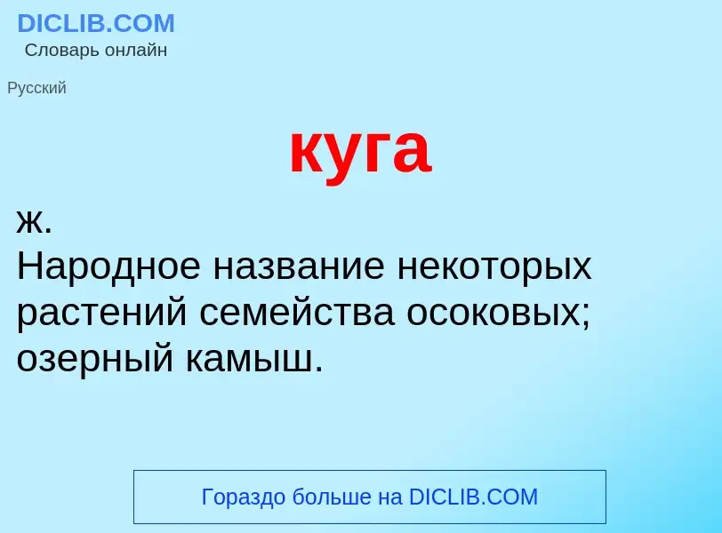 Was ist куга - Definition