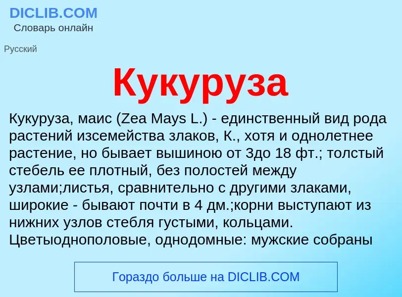 What is Кукуруза - meaning and definition