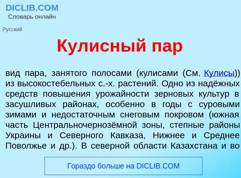 What is Кул<font color="red">и</font>сный пар - meaning and definition