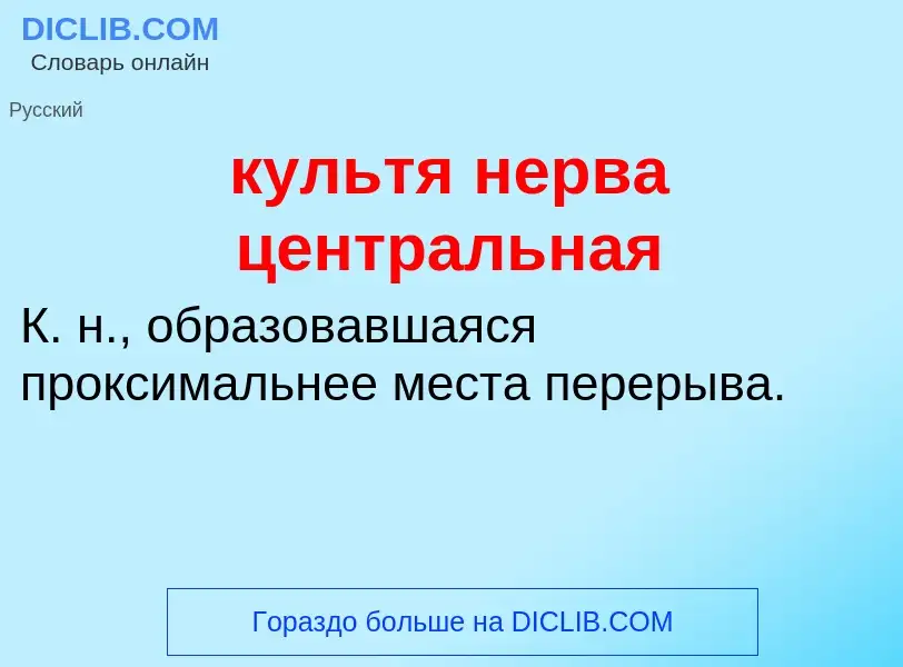 ¿Qué es культя нерва центральная? - significado y definición