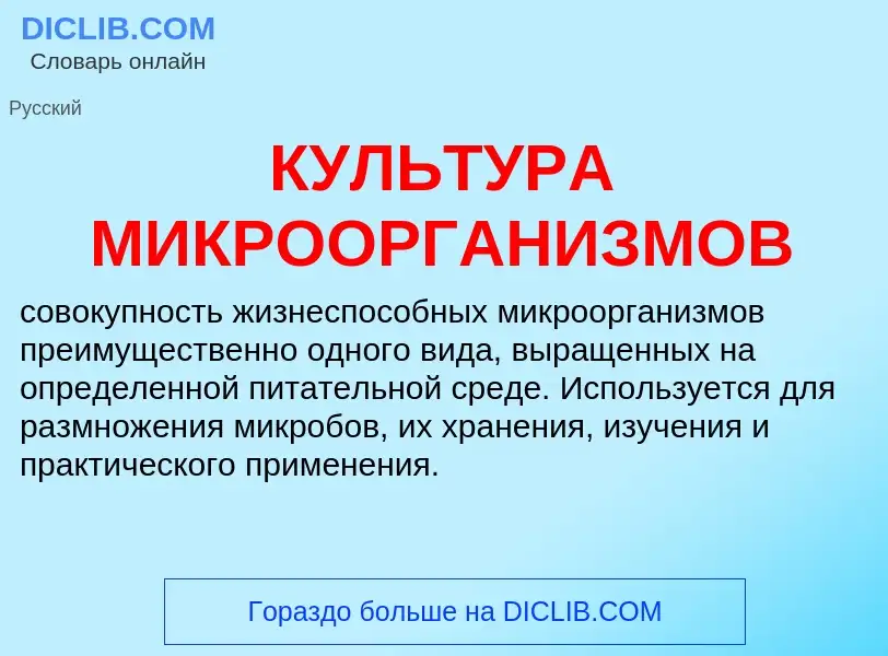 Wat is КУЛЬТУРА МИКРООРГАНИЗМОВ - definition