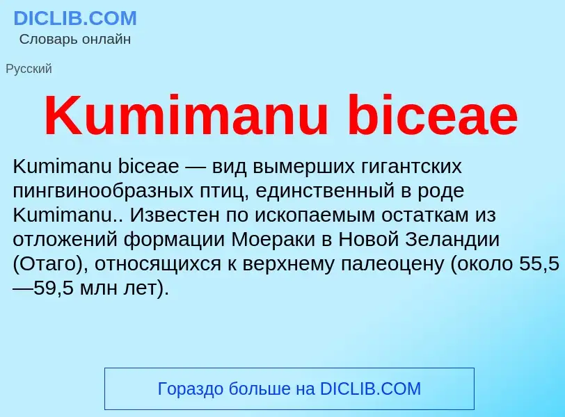 Che cos'è Kumimanu biceae - definizione