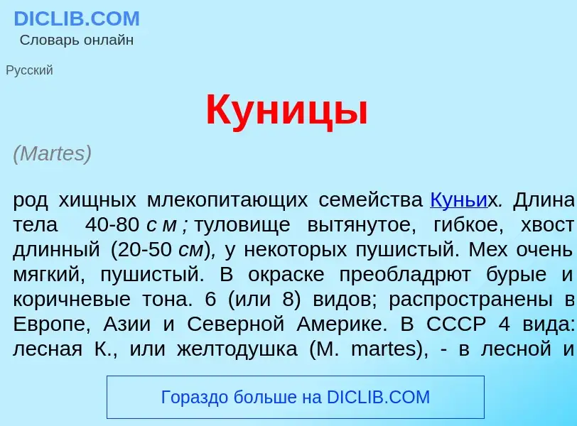 Что такое Кун<font color="red">и</font>цы - определение