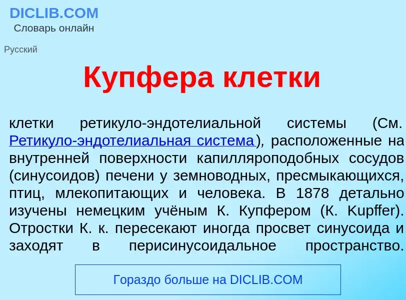 Что такое К<font color="red">у</font>пфера кл<font color="red">е</font>тки - определение