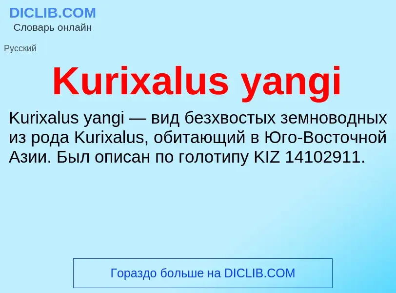 What is Kurixalus yangi - meaning and definition