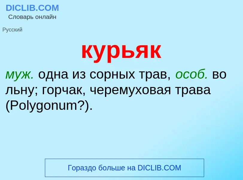 Что такое курьяк - определение