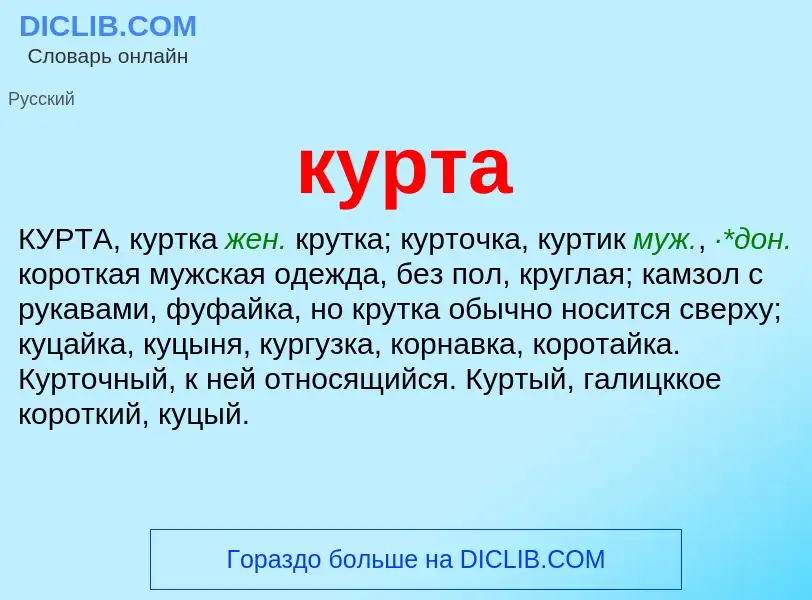 Что такое курта - определение