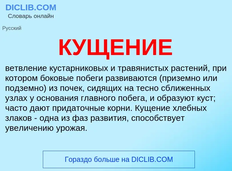 What is КУЩЕНИЕ - meaning and definition