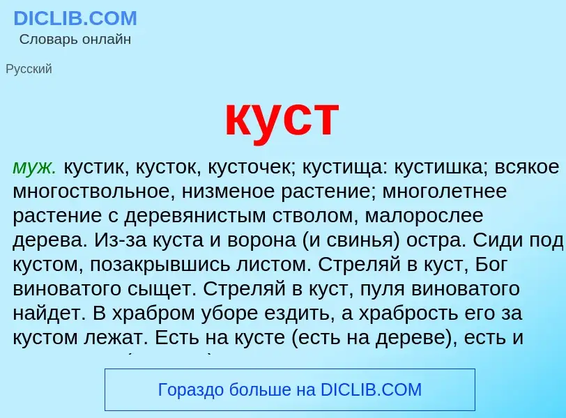 Что такое куст - определение