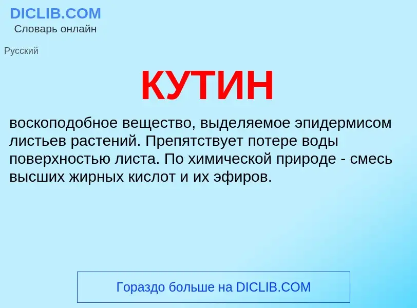 Wat is КУТИН - definition