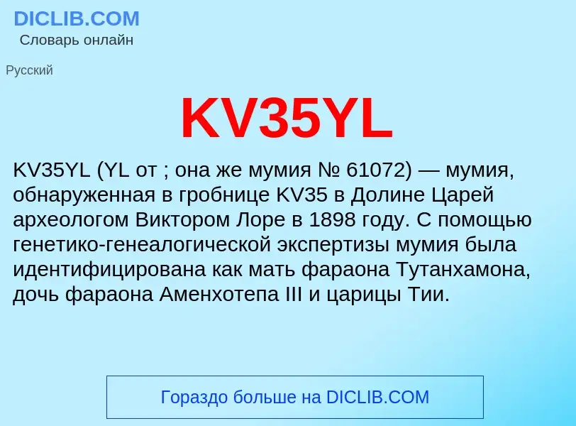 Wat is KV35YL - definition