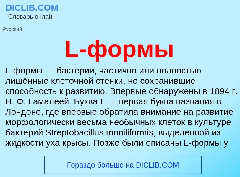 Что такое L-формы - определение