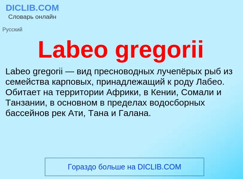 Что такое Labeo gregorii - определение