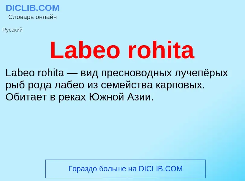 Что такое Labeo rohita - определение